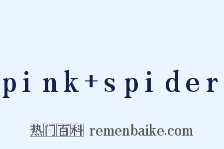 pink+spider是什么意思的图片